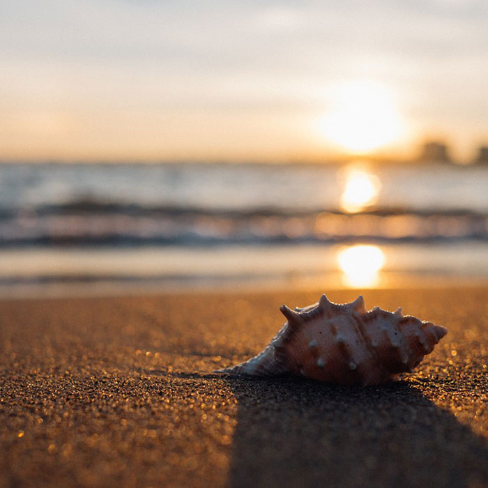 fanta 4 Projekt12 - Strand... Sommer, Sonne, Sonnenschein, zieh ich mir furchtbar gerne rein